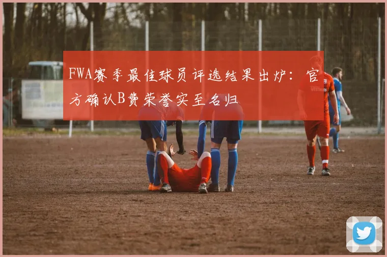 FWA赛季最佳球员评选结果出炉：官方确认B费荣誉实至名归